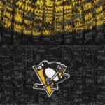 detail loga na kulichu PITTSBURGH PENGUINS ´47 BRAND CASCADE BK